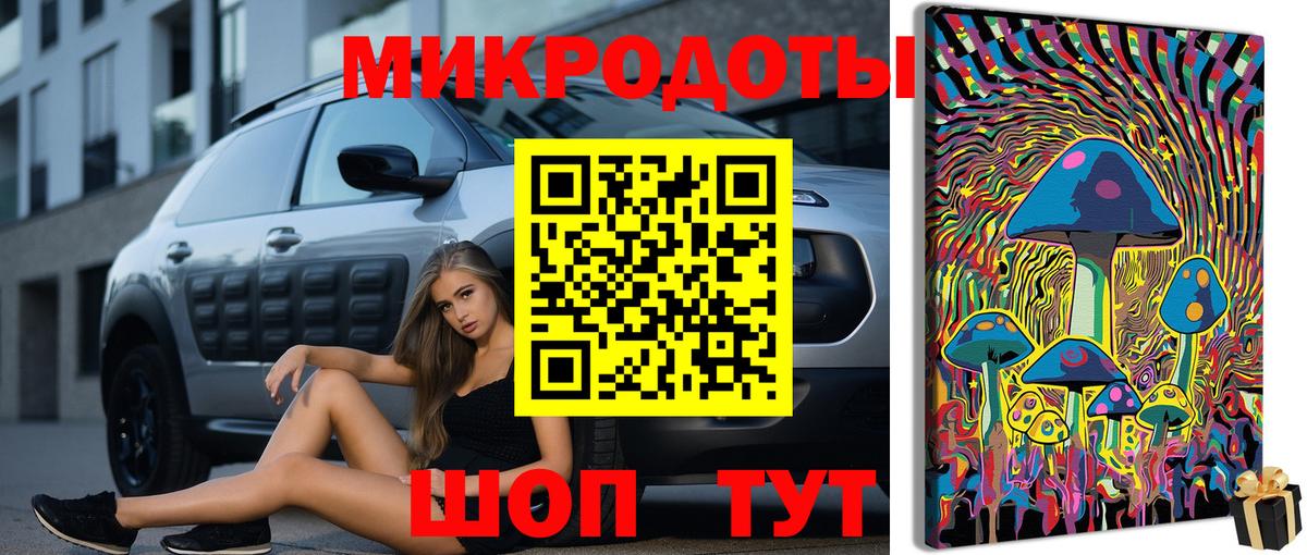 Псилоцибиновые грибы Psilocybe  Вход с VPN  Комсомольск-на-Амуре 